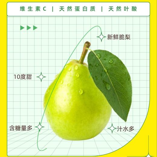 [买2送1]原榨砀山梨膏小勺酥梨枇杷罗汉果营养冲饮干净便携10支装 一勺梨膏 商品图3