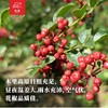 高原红花椒 商品缩略图1