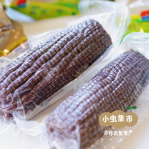 有机鲜食黑糯玉米棒 （非即食需加热食用） | 合作农友生产，来自山西忻州，生产者：玉米兄弟 *【公平贸易农人定价】 商品图5