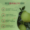 澳雪碌柚叶柔润舒缓护手霜50g*2 商品缩略图3