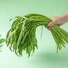 空心菜 1把 商品缩略图4