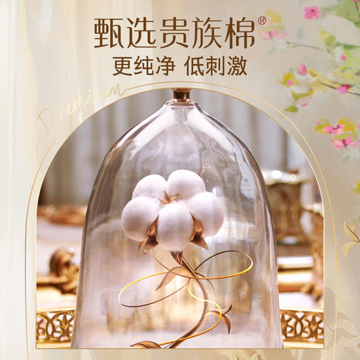 华西20251119-苏菲裸感S贵族系列迷你卫生巾175mm 14片/一包 商品图1