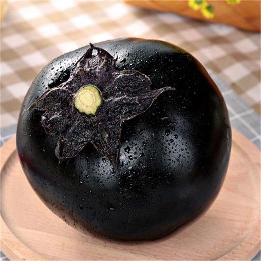 圆茄子 1个 商品图4