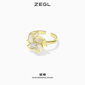 ZEGL设计师风车戒指女小众设计ins潮轻奢精致指环秋冬个性食指戒