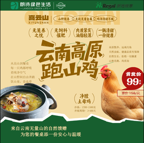 【2周发货 云南高原散养老母鸡】🐓 喂养超400天 2.4-3斤老母鸡高原老母鸡 现杀冷鲜现 顺丰发货货