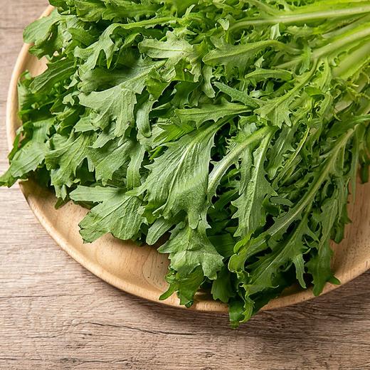 苦菊 300g 商品图4