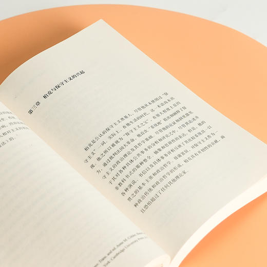 王建勋《审慎是一种美德：保守主义导论》 商品图7