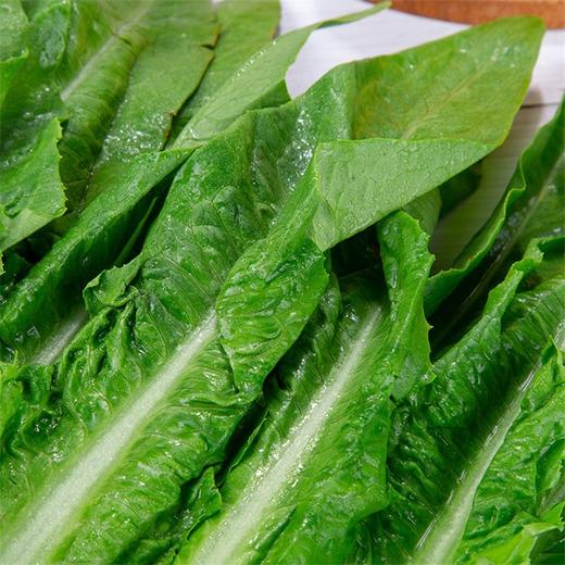 油麦菜 200g 商品图3