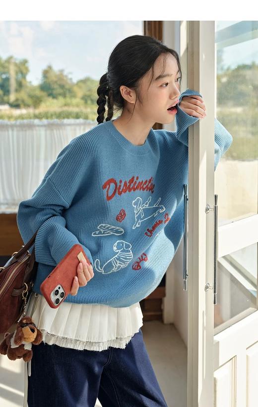 D112526刺绣针织衫宽松女2025秋冬季新款设计感休闲长袖毛衣 商品图4