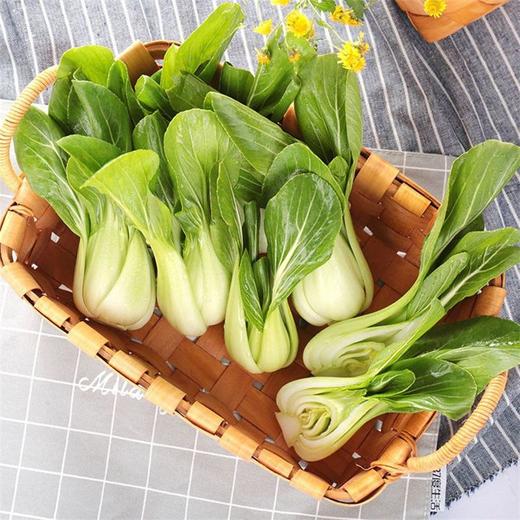 油菜 350g 商品图1