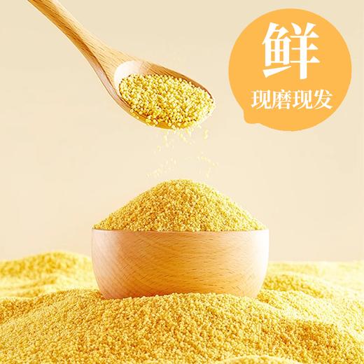 疯抢中！！现磨现发【世界小米之乡·敖汉有机地标小米】色泽晶莹剔透 颗粒饱满 营养丰富 2.5kg/手提袋包装 商品图4