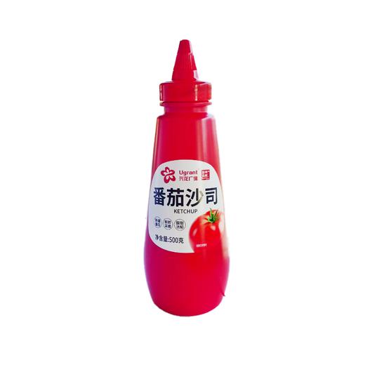 兴龙广缘500g番茄沙司 商品图0