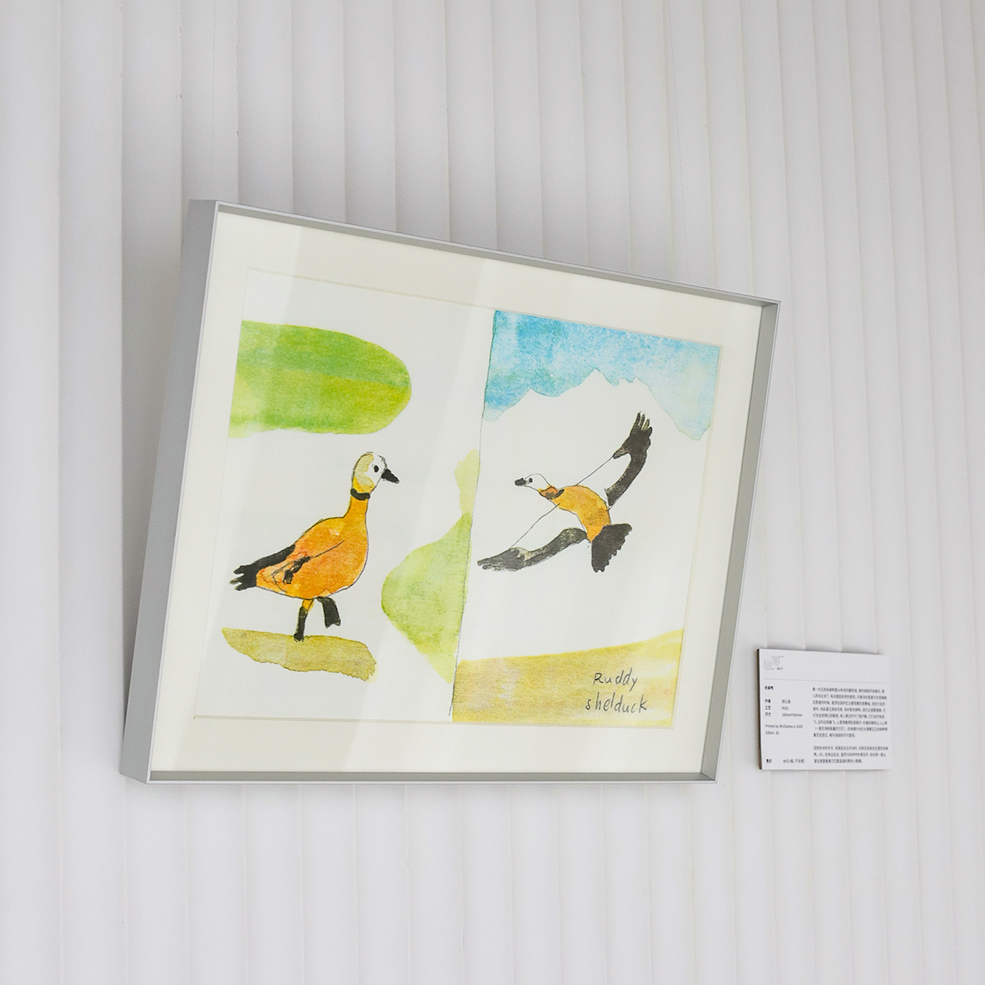 「中国 胡沁迪」巡游周边 明信片 riso print