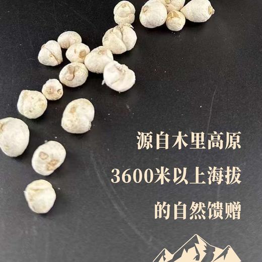 冻干藏贝母8g 商品图1