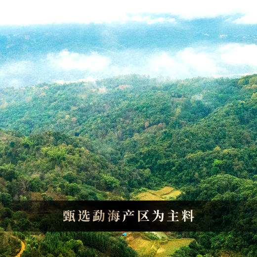 【财运亨通】2022年春茶古寨春独家奢秘配方重磅回馈助力双12，357克/饼 商品图3