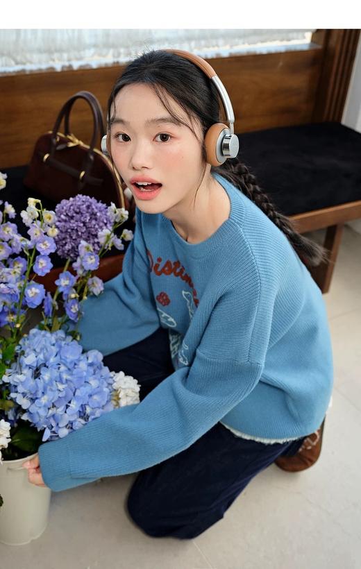 D112526刺绣针织衫宽松女2025秋冬季新款设计感休闲长袖毛衣 商品图3