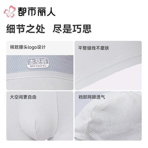 都市丽人男士男士内裤50S水柔棉平角裤明筋棉平角FKCC02 商品图4
