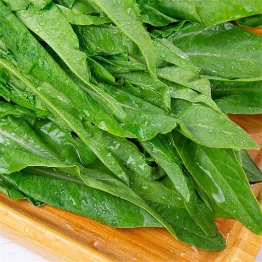 油麦菜 200g 商品图2