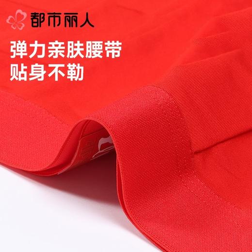 都市丽人男士内裤60S木莱尔平角裤明筋人棉平角FKCC06 商品图4