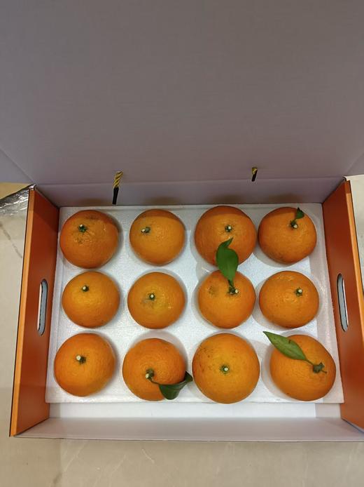 科阳高山红美人柑橘12只装 中果(70-75mm)(商) 商品图4