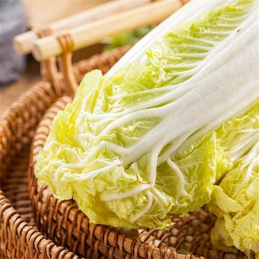 小娃娃菜 3颗 商品图3