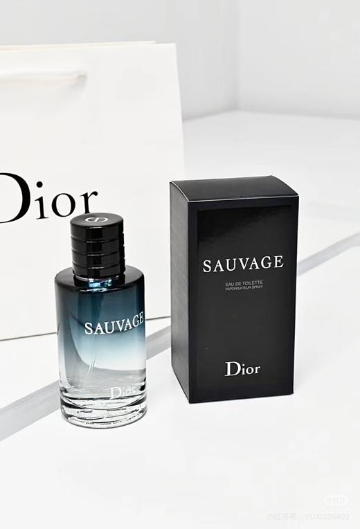 Dior克丽丝汀迪奥旷野男士淡香水 商品图1