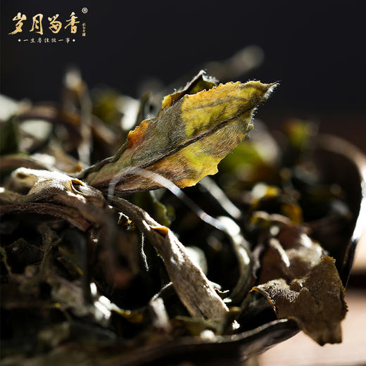 岁月留香-老树牡丹2016年 100克 商品图6