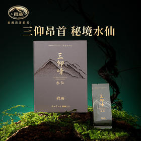 岩语 鉴山三仰峰水仙 正岩茶叶礼盒装特级武夷山岩茶送礼51g