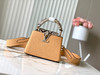 秋冬特惠💰1600 渠道级LV te级LV 全套包装 N80741/M48865棕黄 本款 Capucines 迷你号手袋 商品缩略图0