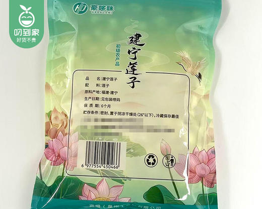 豪哆咪建宁通芯白莲子干货（中果）/1份（250g*2包）生产日期：25年11月补单专用 商品图5