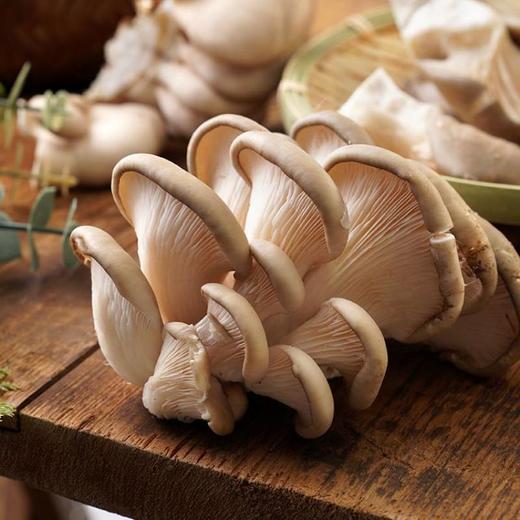 平菇 300g 商品图3