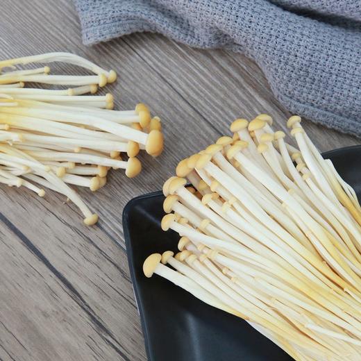 雪榕金黄菇 200g 商品图2