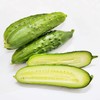 旱黄瓜 1根 商品缩略图2