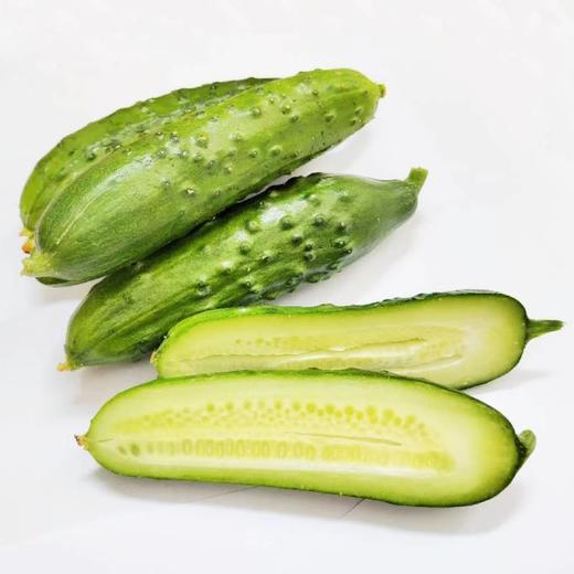 旱黄瓜 1根 商品图2