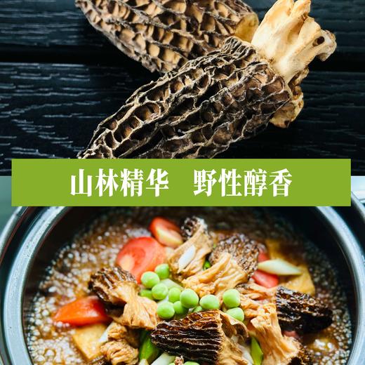 天然羊肚菌50g 商品图2