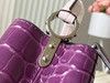 秋冬特惠💰1450 渠道级LV te级LV 全套包装 N94227/M48865紫拼色鳄鱼纹 商品缩略图4