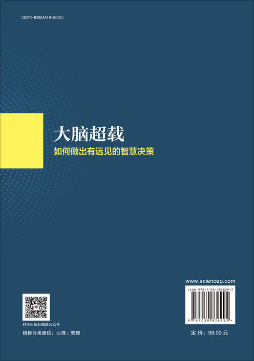 大脑超载：如何做出有远见的智慧决策 商品图1