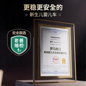 DearMom婴儿推车罗马假日双向折叠可坐可躺轻便高景观带减震手推车 Max