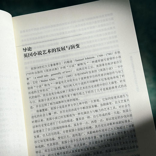 英国小说艺术史 中外语言文学学术文库 李维屏著 商品图7