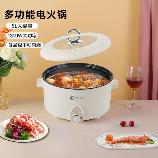 AIYOUTH艾青春5L电火锅AI-HG501 商品图0