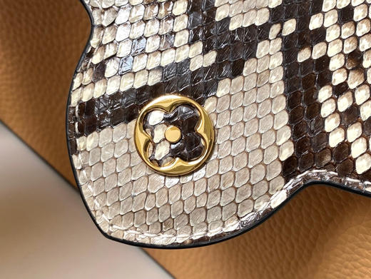 秋冬特惠💰1600 渠道级LV te级LV 全套包装 N80741/M48865棕黄 本款 Capucines 迷你号手袋 商品图5