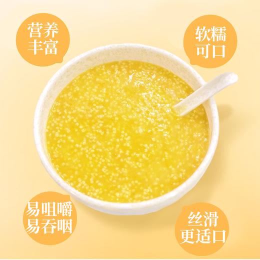 疯抢中！！现磨现发【世界小米之乡·敖汉有机地标小米】色泽晶莹剔透 颗粒饱满 营养丰富 2.5kg/手提袋包装 商品图8