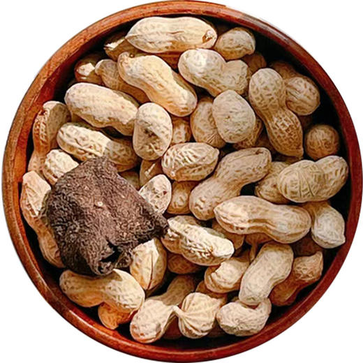 【食品酒水】-陈皮花生 带壳新会陈皮味花生零食 商品图4