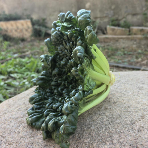 【只发京津冀、随机发4种蔬菜】霜冻露地蔬菜包 3.3斤装【菠菜，黄心乌，乌塌菜，胡萝卜 上海青油菜 】 商品图1