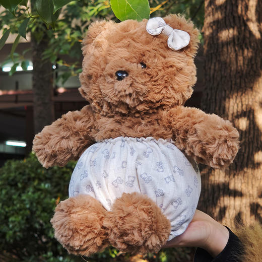 25cm穿衣小熊玩偶公仔毛绒玩具生日礼物毛绒公仔-纪念日百货门店同款167796485 商品图0