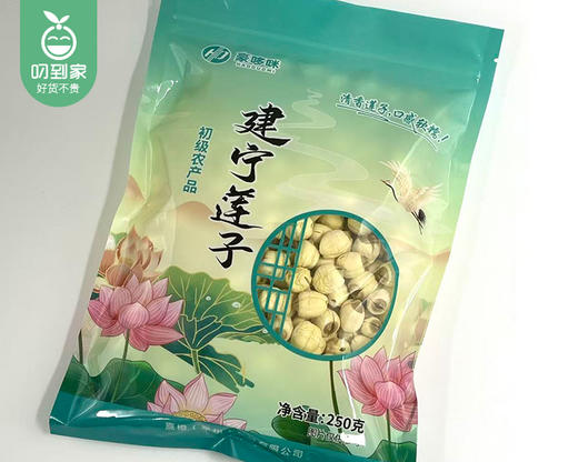 豪哆咪建宁通芯白莲子干货（中果）/1份（250g*2包）生产日期：25年11月补单专用 商品图4