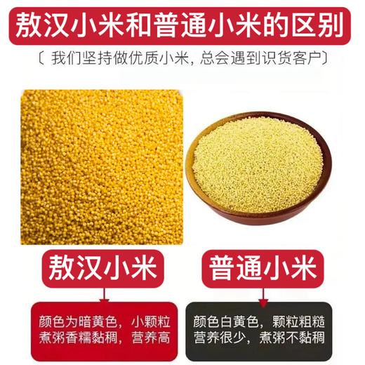 疯抢中！！现磨现发【世界小米之乡·敖汉有机地标小米】色泽晶莹剔透 颗粒饱满 营养丰富 2.5kg/手提袋包装 商品图2