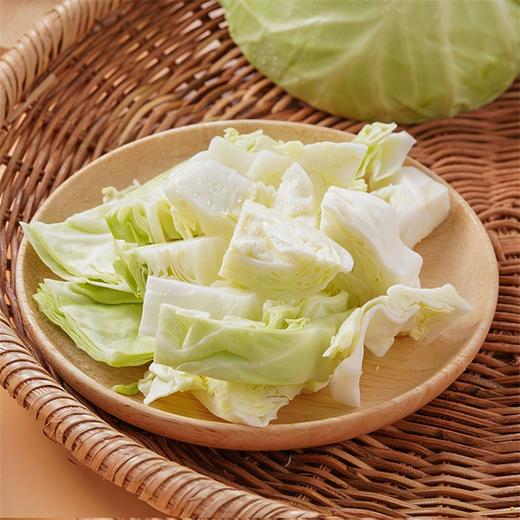 圆白菜 1颗 商品图4