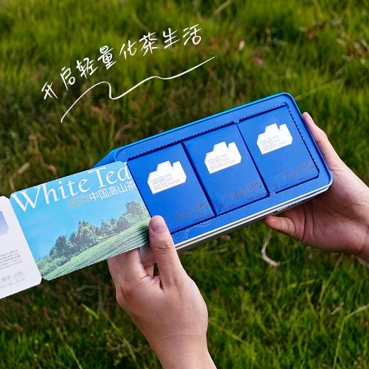 泡朵高山小野白紧压寿眉袋装便携礼盒 商品图2