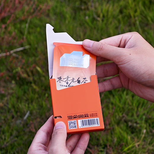 泡朵枣香老白茶紧压寿眉袋装便携礼盒 商品图3